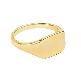 Teall Gold Simple Rectangular Signet Ring